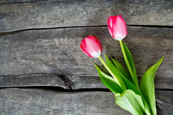 Rosa Tulpaner Träytan — Stockfoto