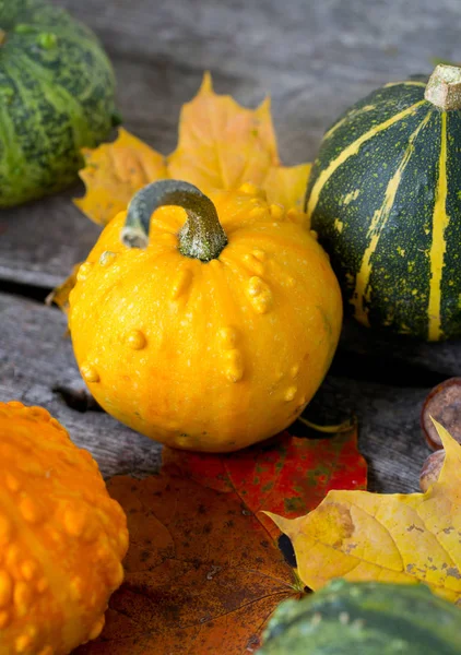 Stapel Van Kleurrijke Pompoenen Halloween Concept — Stockfoto