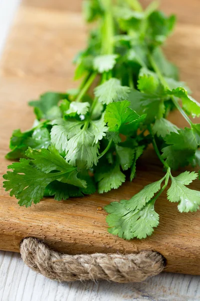 Cilantro Sobre Tabla Madera —  Fotos de Stock