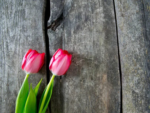 Розовые Тюльпаны Деревянной Поверхности — стоковое фото