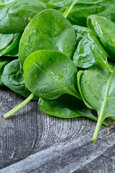 Frische Spinatblätter Hautnah — Stockfoto