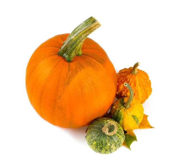 Stapel Van Kleurrijke Pompoenen Halloween Concept — Stockfoto