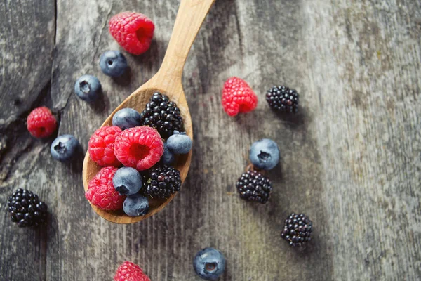 Fresh Ripe Forest Berries — Stock Photo, Image