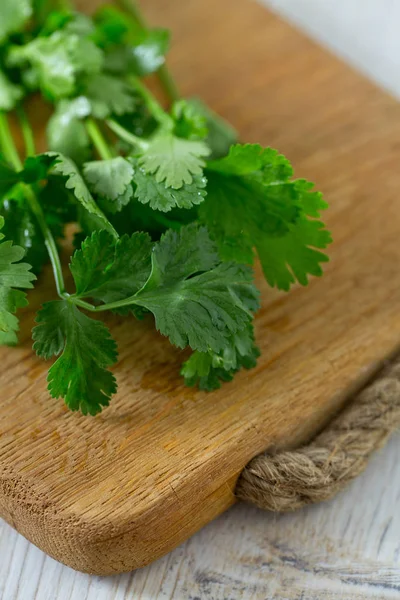 Cilantro Sobre Tabla Madera —  Fotos de Stock