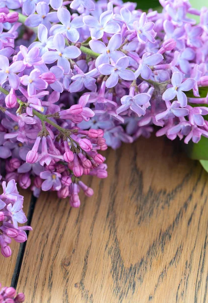 Lilac Wooden Surface — Stock Photo, Image