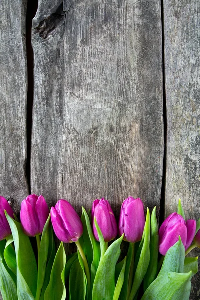 Purple Tulips Wooden Surface — Stock Photo, Image