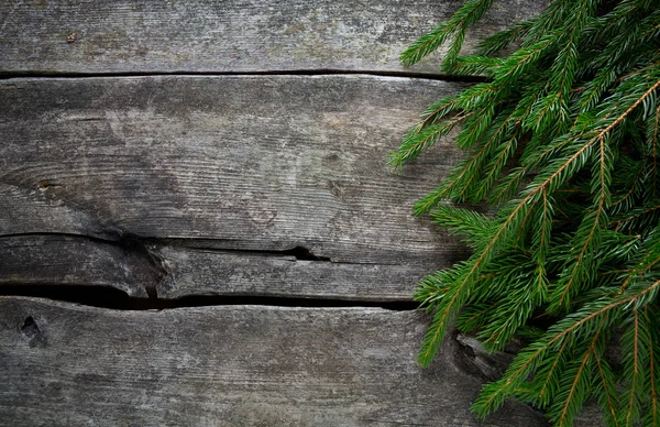 Fir Tree Branch Wooden Surface — Stock Photo, Image