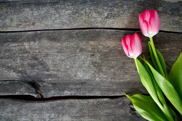 Różowe Tulipany Drewnianej Powierzchni — Zdjęcie stockowe