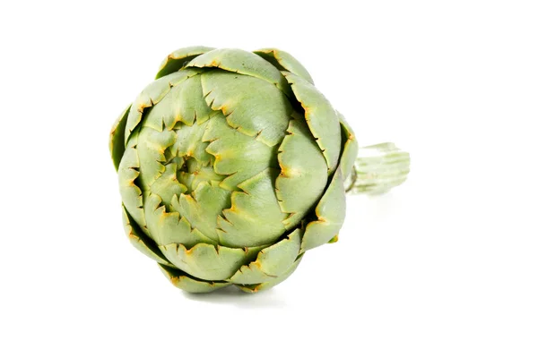 Artichoke Isolated White — Stock Photo, Image