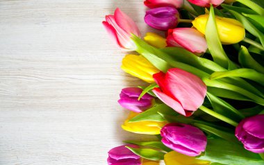 ahşap yüzey üzerinde renkli Lale