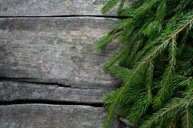 köknar ağacı dalı ahşap yüzey üzerinde