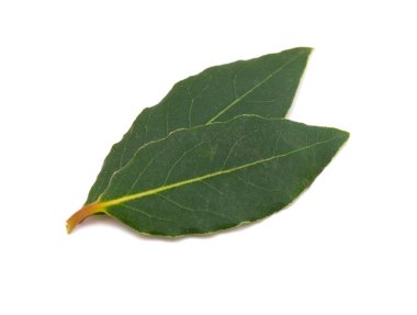 Bay izole üzerinde beyaz yapraklar