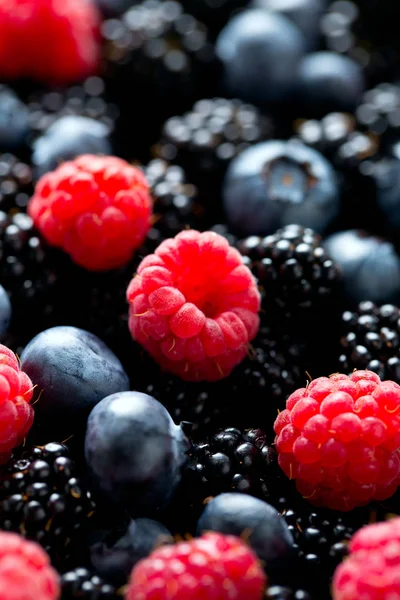 Fresh Ripe Forest Berries — Stock Photo, Image