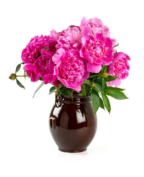 Peonies Clay Vase White — Stock Photo, Image