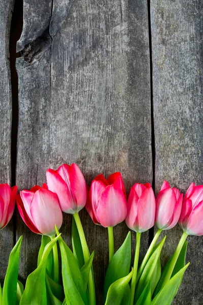 Różowe Tulipany Drewnianej Powierzchni — Zdjęcie stockowe