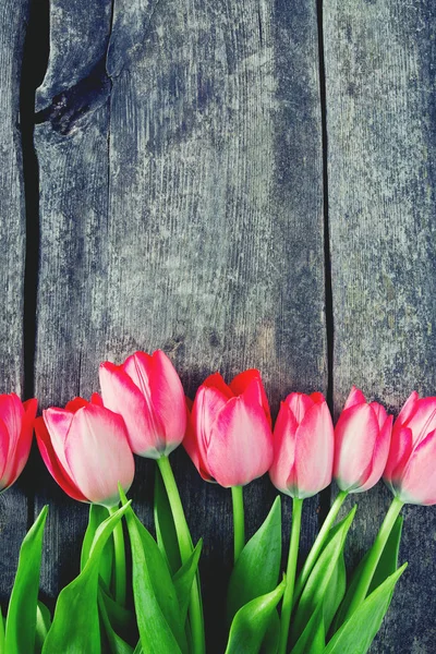 Roze Tulpen Houten Oppervlak — Stockfoto