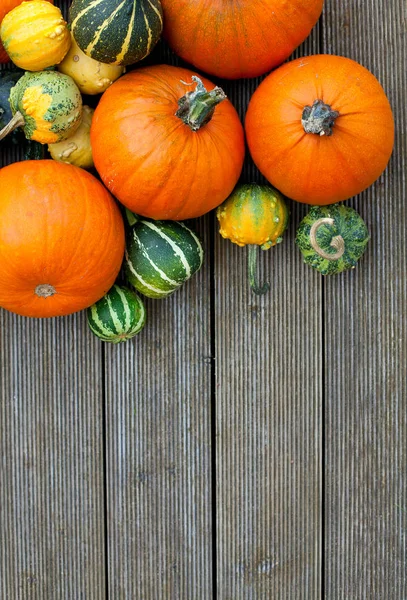 Calabazas Colores Superficie Madera —  Fotos de Stock