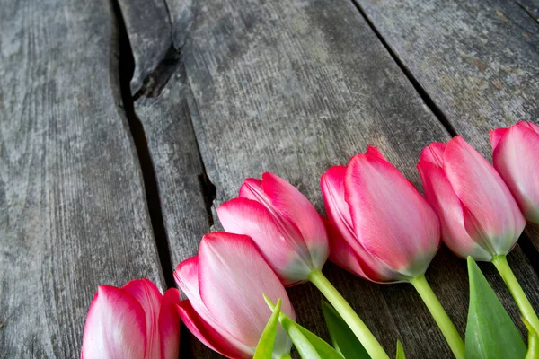 Рожеві Тюльпани Дерев Яній Поверхні — стокове фото