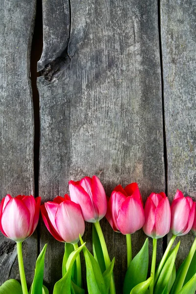 Pink Tulips Wooden Surface — Stock Photo, Image