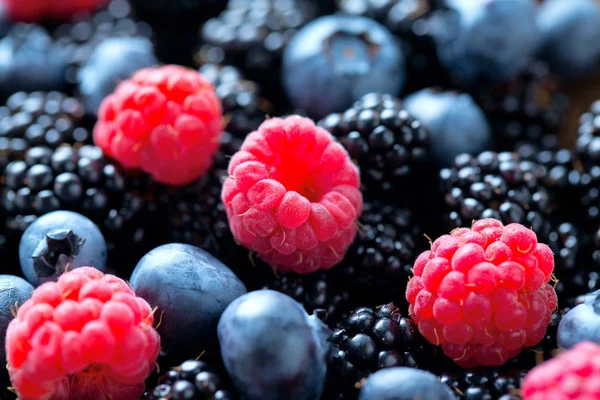 Fresh Ripe Forest Berries — Stock Photo, Image