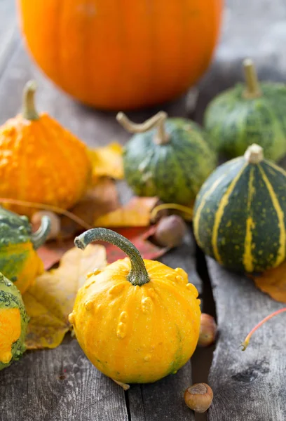 Pilha Abóboras Coloridas Conceito Halloween — Fotografia de Stock