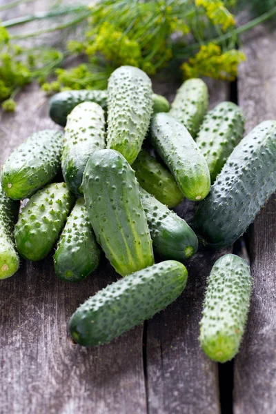 Verse Komkommers Houten Tafel — Stockfoto