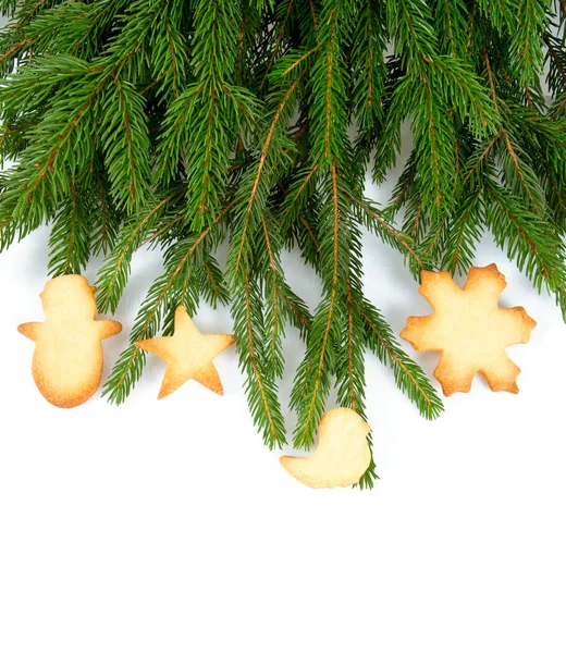 圣诞饼干和冷杉树枝 — 图库照片