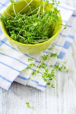 Garden cress yenmek hazır