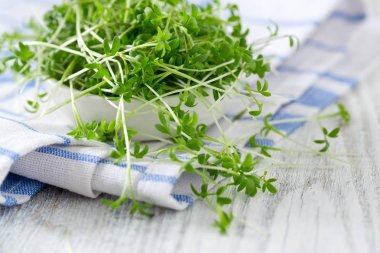 Garden cress yenmek hazır