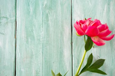 ahşap yüzey üzerinde güzel peonies