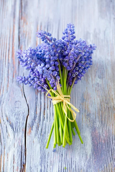 Blauwe Muscari Bloemen Druivenmost Hyacint Houten Achtergrond — Stockfoto