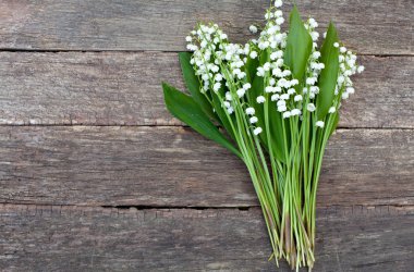 ahşap yüzeyde vadideki zambak