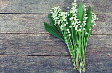 ahşap yüzeyde vadideki zambak