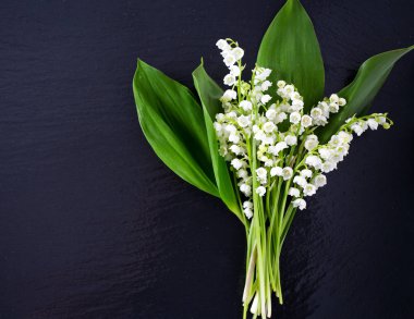 Kara tahta üzerinde vadideki zambak