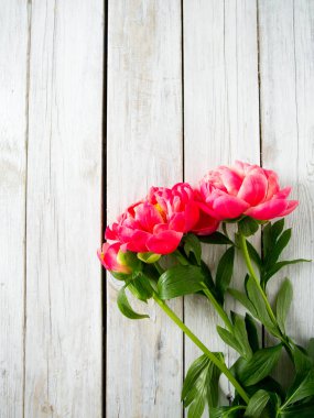ahşap yüzey üzerinde güzel peonies