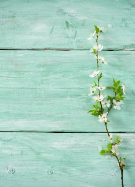 Bahar çiçekleri ahşap yüzey üzerinde