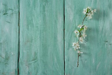 Bahar çiçekleri ahşap yüzey üzerinde