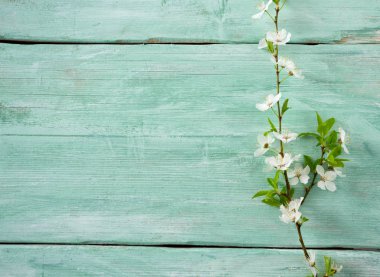 Bahar çiçekleri ahşap yüzey üzerinde