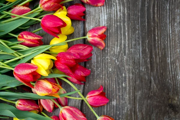 Colorful Tulips Wooden Surface — Stock Photo, Image