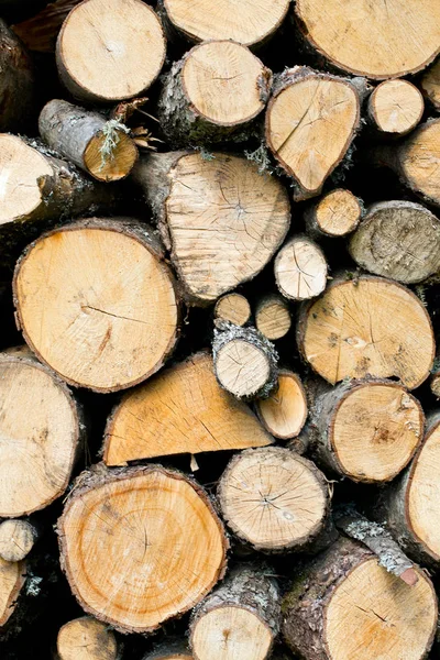 Logs Incêndio Vista Perto — Fotografia de Stock