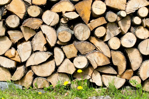 Fire Logs Close View — Stock Photo, Image