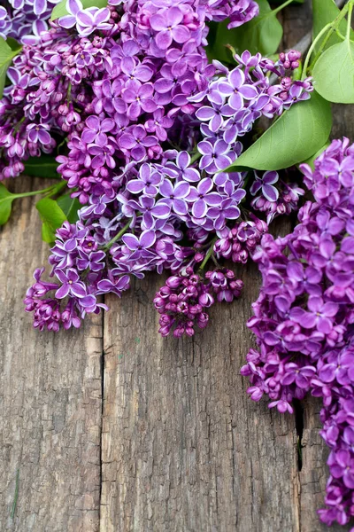 Mooie Lila Houten Oppervlak — Stockfoto