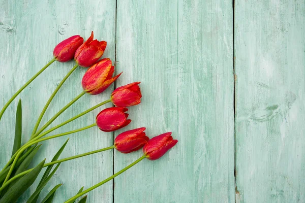 Bunte Tulpen Auf Hölzerner Oberfläche — Stockfoto