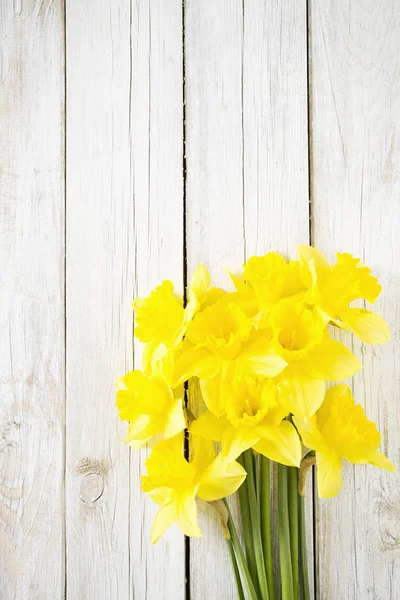 Beautiful Narcissus Wooden Background — Stock Photo, Image