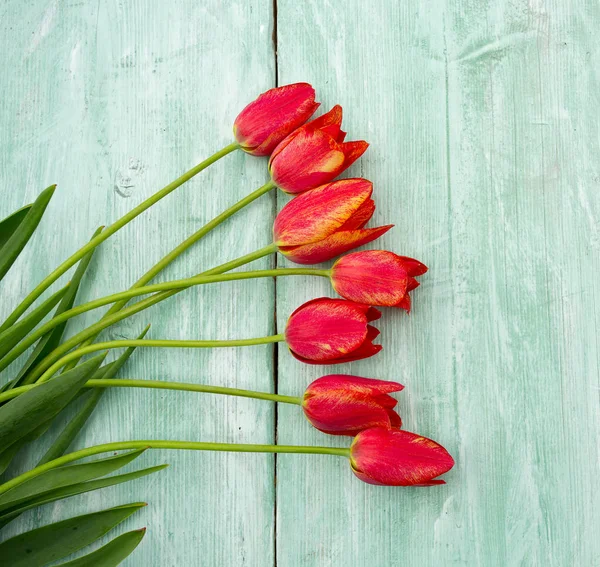 Tulipas Coloridas Superfície Madeira — Fotografia de Stock