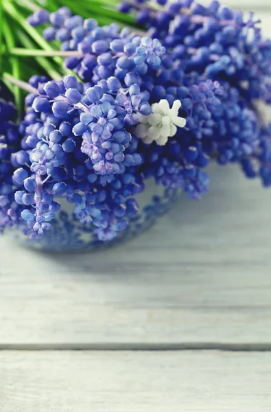 Blauwe Muscari Bloemen Druivenmost Hyacint Houten Achtergrond — Stockfoto