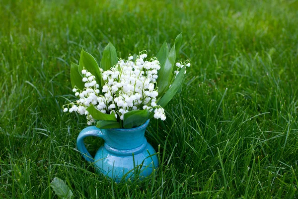 Lys Vallée Sur Herbe — Photo