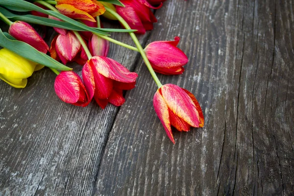 Красочные Тюльпаны Деревянной Поверхности — стоковое фото