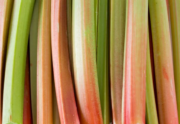 Close Van Rabarber Plant Stokken — Stockfoto