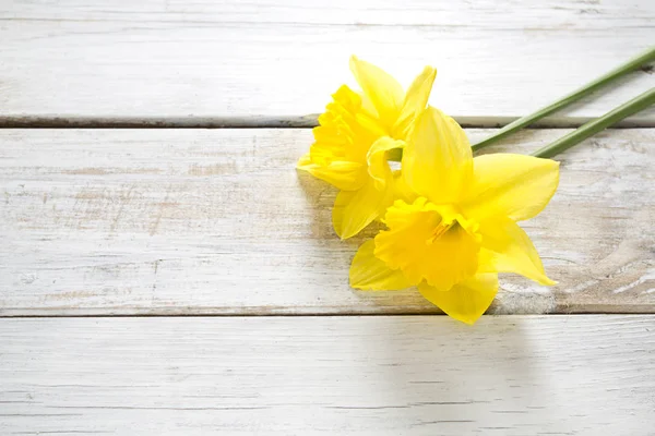 Beautiful Narcissus Wooden Background — Stock Photo, Image